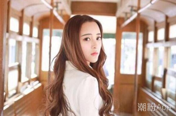 扶摇西平郡王高普若谁演的 刘芷微个人资料详细介绍